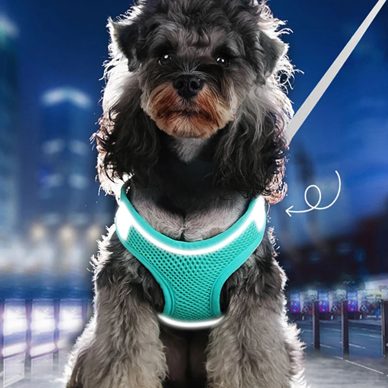 MADDEN Pet Vest Harness