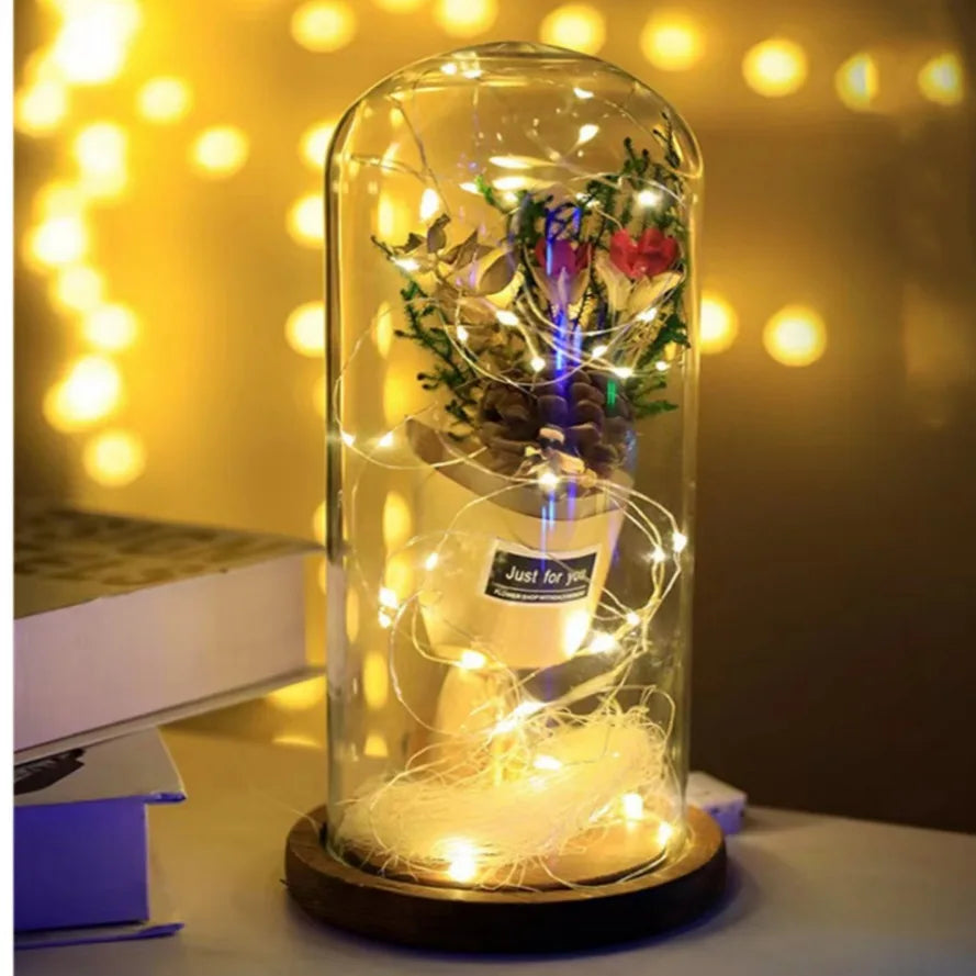 HHLZYH Copper LED String Lights