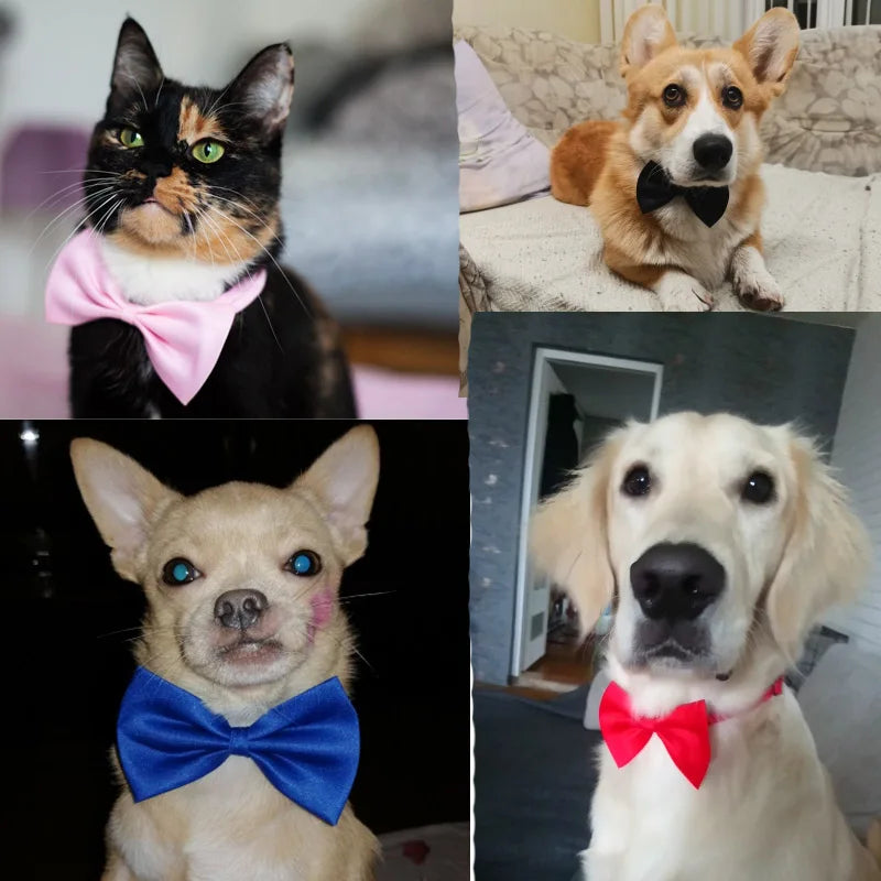 Adjustable Formal Pet Bow Necktie