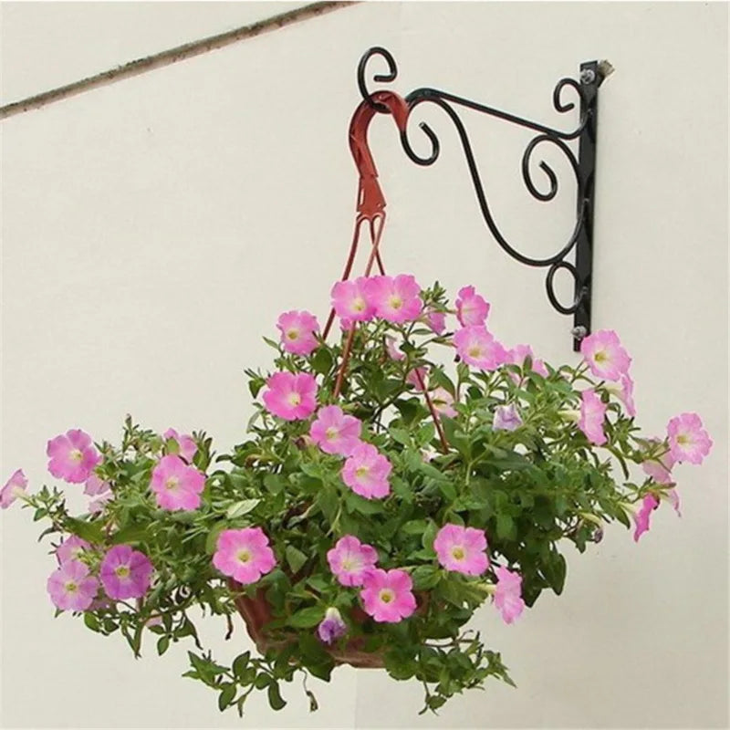 Wall Planter Hanging Plants