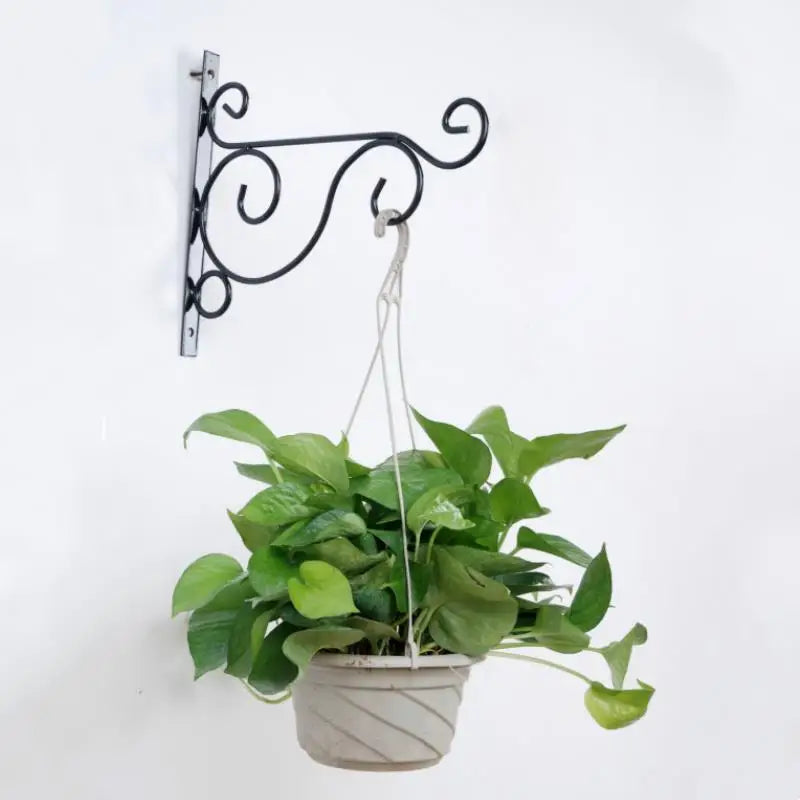 Wall Planter Hanging Plants