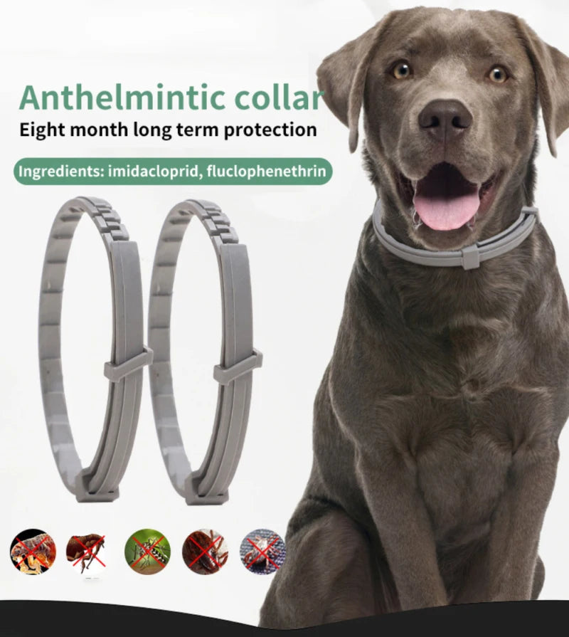 Xiaomi Anti Flea And Ticks Collar 8 Month Protection For Dogs And Cats