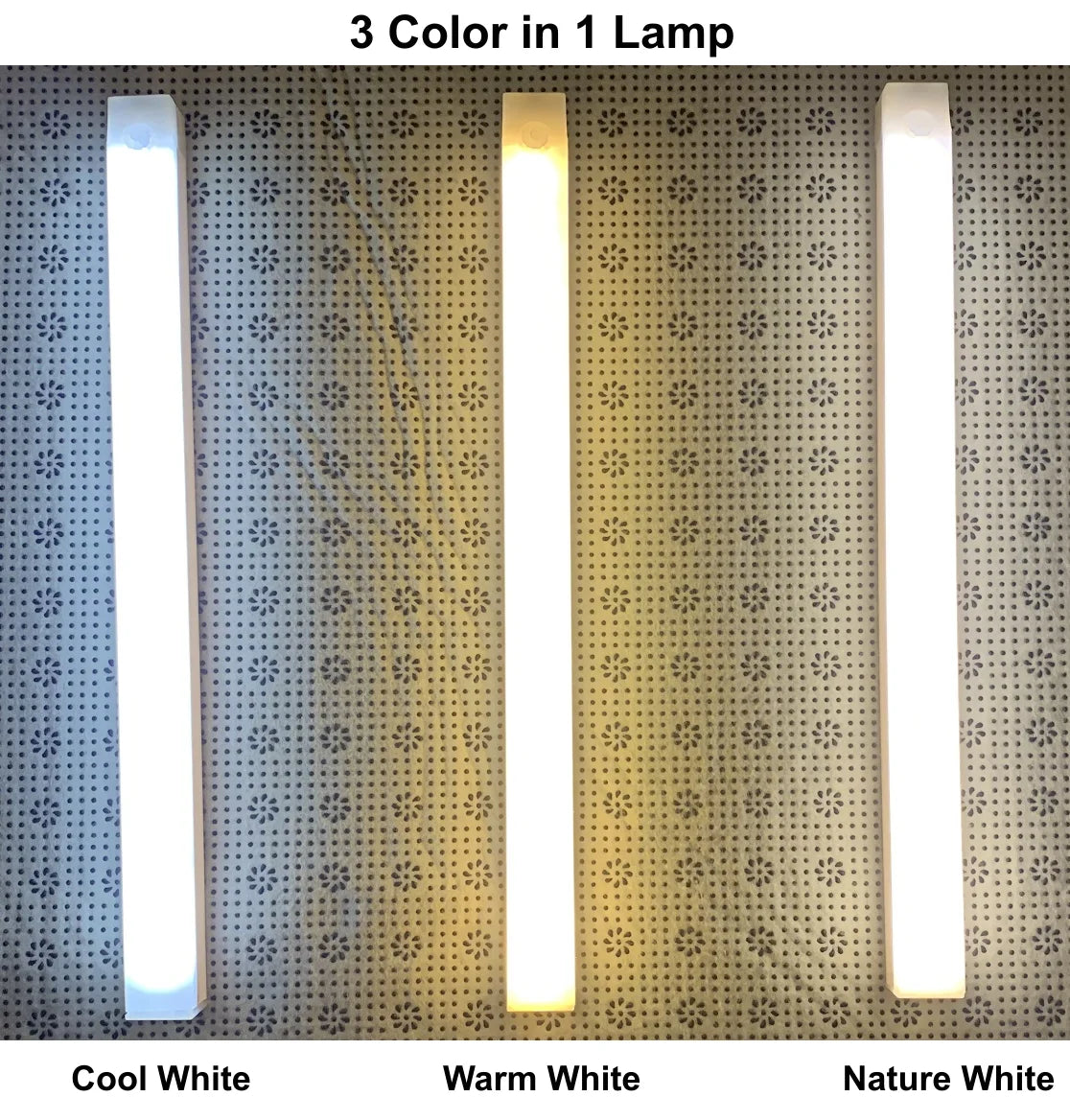 40660524925014|40660525056086|40660525154390|40660525252694